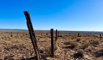 N7009 40 Acres, Chambers, AZ 86502