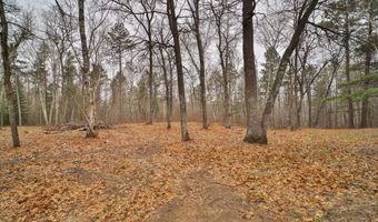 951 Swede Lake Trl SW, Backus, MN 56435