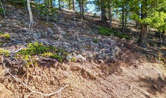 272 Wise Rd, Bailey, CO 80421