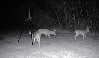Chickadee Court, Agency, MO 64401