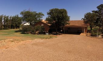 1773 Co Rd 222, Amherst, TX 79312