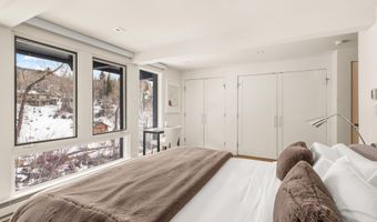 1039 E Cooper Ave 20, Aspen, CO 81611