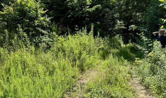 00 Coal Branch Rd, Beattyville, KY 41311