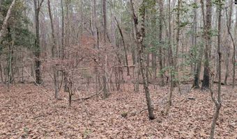 Lots B & C Miller Road, Camden, SC 29020