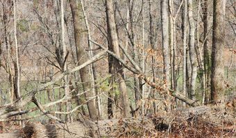 5615 Eastport Rd, Alpine, TN 38543