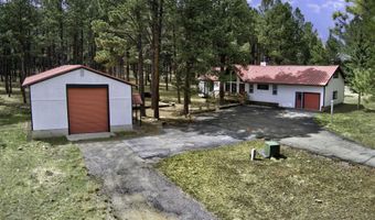 37 Pine Valley Dr, Angel Fire, NM 87710