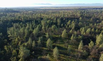 Buffalo Drive, Anderson, CA 96007