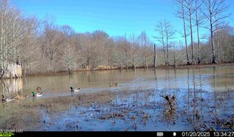 Gun Baoyu Road, Belzoni, MS 39038