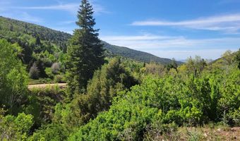 Braffits Creek Lot 61 & 62, Brian Head, UT 84719