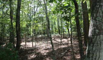 203 Saluda Bluff Rd, Batesburg Leesville, SC 29006