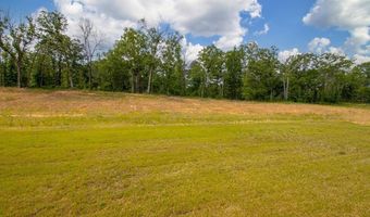 1176 Duke Dr, Bauxite, AR 72011