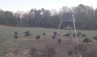 TBD County Road 40, Abbeville, AL 36310