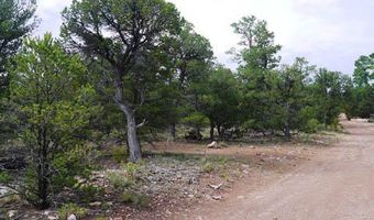 Blue water, Bluewater, NM 87005
