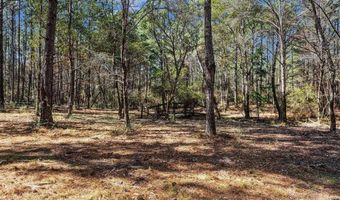 1471 Hwy C-180, Baker, FL 32531