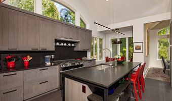 205 N 6th St, Aspen, CO 81611