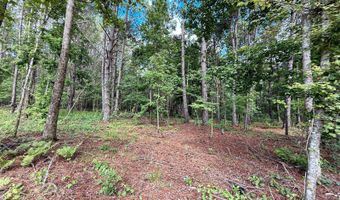 14917 NW COUNTY ROAD 237, Alachua, FL 32615