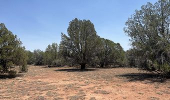 164 Rattlesnake Rd, Ash Fork, AZ 86320