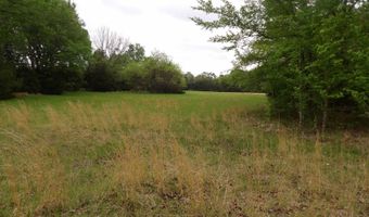 4100 Six Mile Rd N, Antlers, OK 74525