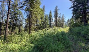 2008- TBD LOT K SUMMIT VALLEY Rd, Addy, WA 99101