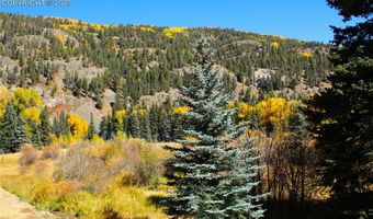 38938 Nf-250 Rd, Antonito, CO 81120