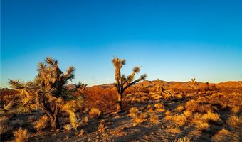 2641 S Javelina Rd, Yucca, AZ 86438