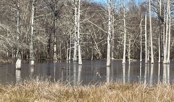 0 CR 437, Ashland, MS 38603