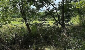 0000 Cr-3401, De Kalb, TX 75559