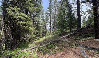 Tbd Hilltop Road 43 & 44, Cascade, ID 83611