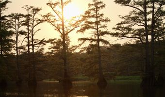 Bolivar Road, Benoit, MS 38725