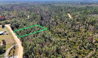 Monogahela Avenue, Alford, FL 32420