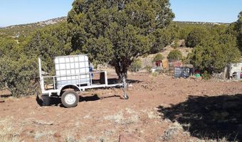 460 461 CR8301, Concho, AZ 85924