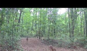 4814 NW 244 Ave, Alachua, FL 32615