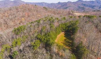 Ararat Highway, Ararat, VA 24053