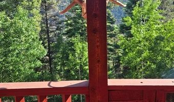 1407 Clarke Mountain Ln, Antonito, CO 81120