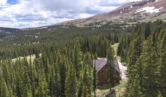 62 Lazy Rex Rd, Alma, CO 80440