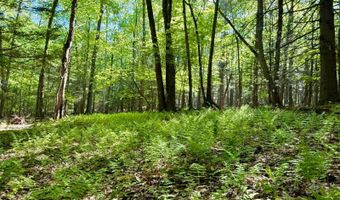 54 Cliff Rd, Accord, NY 12404