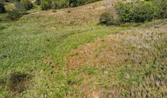 3850 Private Drive 3220, Ava, MO 65608