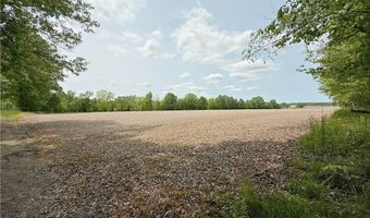 Snode Street NE, Alliance, OH 44601