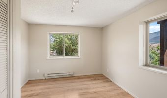 34 Twining Flats Rd, Aspen, CO 81611