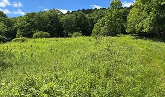 2613 Murphy Hill Rd, Andes, NY 13731