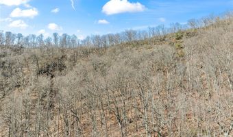 31 Reillys Bluff Rd 2, Barnardsville, NC 28709
