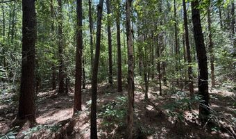 0 Five Notch Rd, Bradley, SC 29848