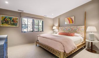 614 W North St, Aspen, CO 81611