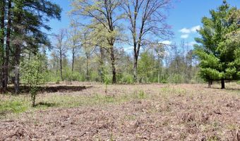 La Grant Road, Alger, MI 48610