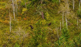 180 Styx Rd, Big Horn, WY 82833