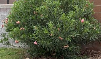 980 Sierra Verde, Alamogordo, NM 88310