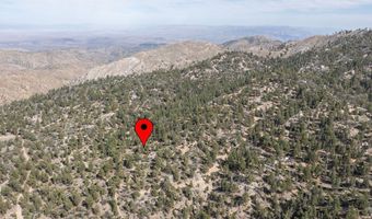 4535 Ironwood Ln, Angelus Oaks, CA 92305