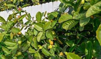 4008 Via Los Padres, Oceanside, CA 92057