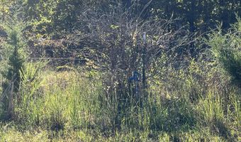 County Road 113, Alton, MO 65606