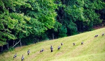 1750 Ridge Rd, Austinville, VA 24312